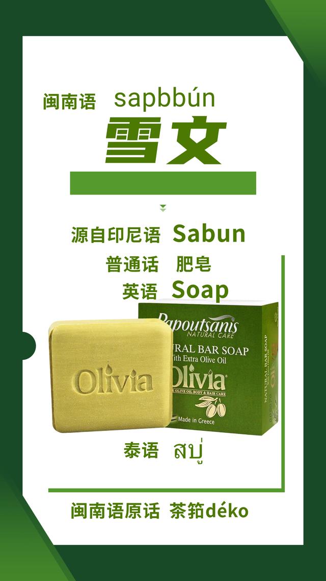 鲍鱼是什么意思网络语，女孩子鲍鱼是什么梗（闽南语里的“番仔话”）