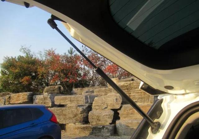 保定农业生态园，保定农业生态园游玩攻略（携55自驾游农业生态园）