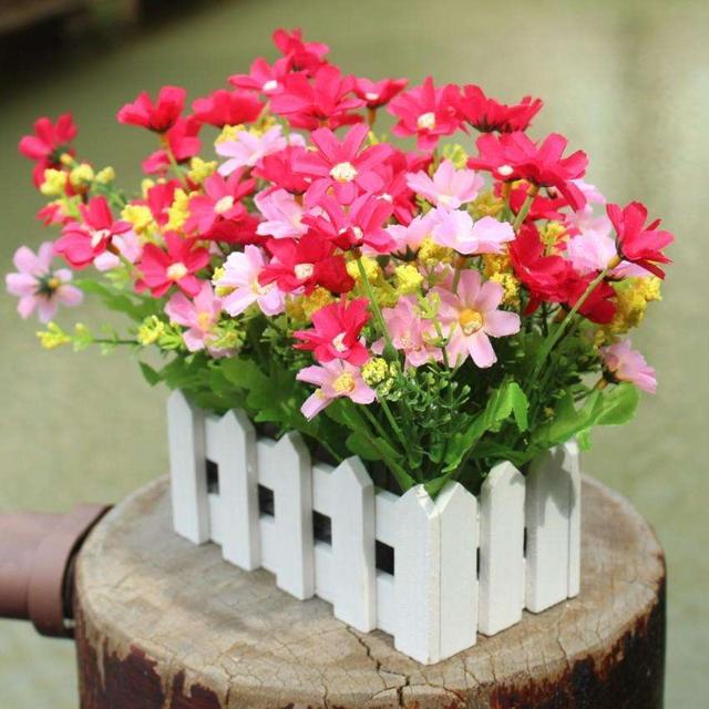 绣球花有种子吗，有没有绣球花种子（我买过的假花苗和花种子）