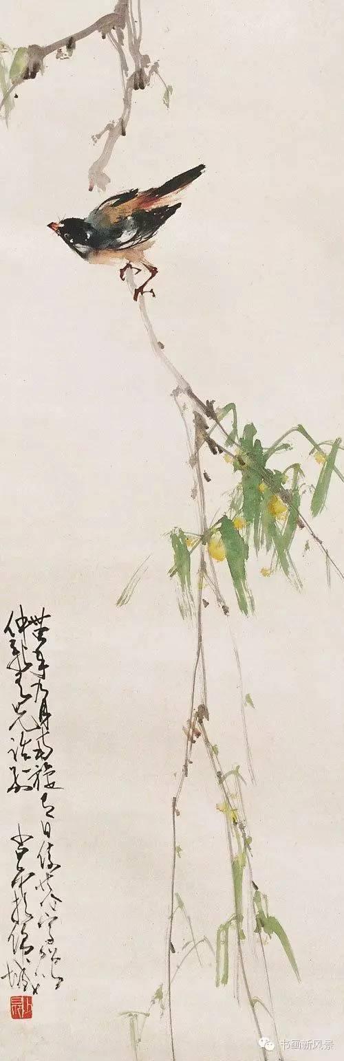 花鸟草虫大全，赵少昂花鸟草虫精选66幅