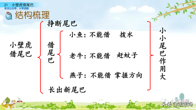 小壁虎的尾巴有什么功能，壁虎的尾巴有什么用（一年级下册语文课文21《小壁虎借尾巴》图文详解及同步练习）