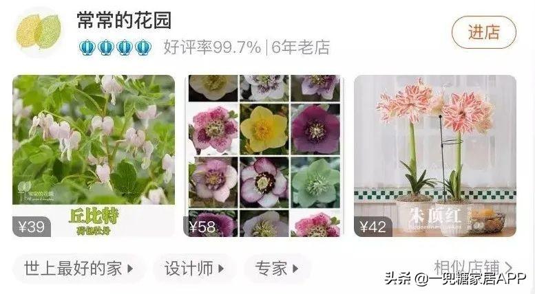 淘宝网花店(淘宝商城花卉市场)