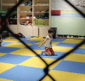 散打和自由搏击哪个更实用，自由搏击和散打哪个杀伤力大（搏击、武术、散打、跆拳道）