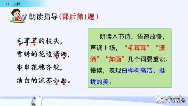 悠扬的近义词，“悠扬”的近义词是什么（四年级下册语文第11课《白桦》图文详解及同步练习）