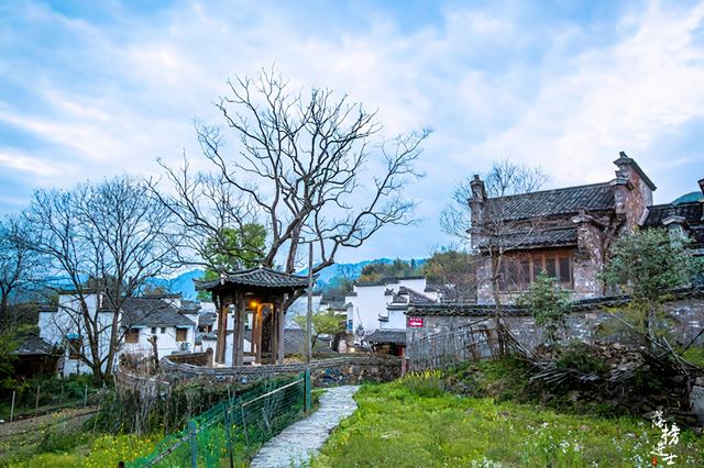 安徽塔川在哪个城市，安徽塔川是哪个县的（来踏青的游客数量让人意外）