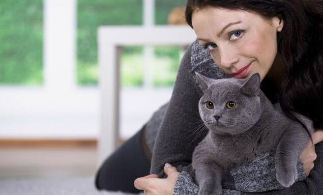 女生适合养什么猫，什么猫适合新手女生养（最适合女生养的5种猫）