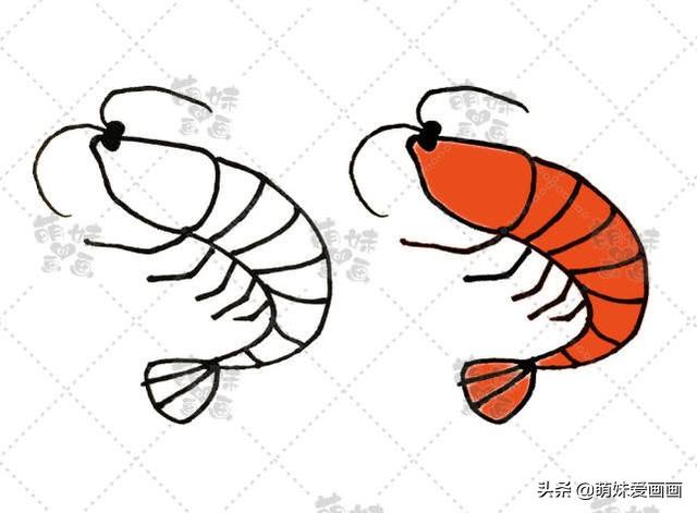海洋生物简笔画，海洋生物简笔画图片（学画可爱的海洋生物简笔画）