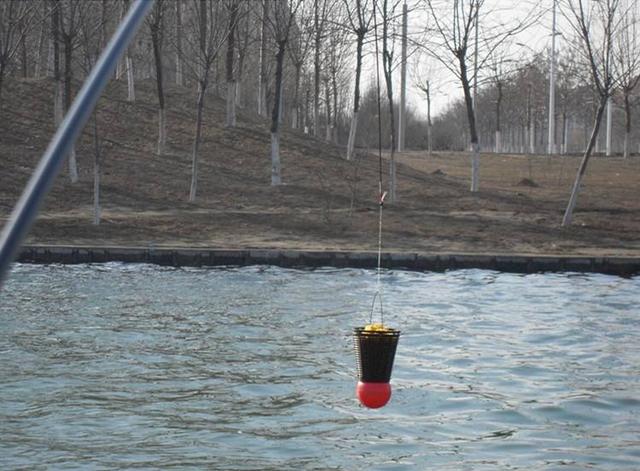 冬天钓鲫鱼技巧和方法，冬天钓鲫鱼的诀窍（早、少、轻、准、多）