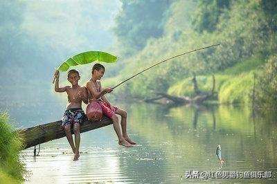 这几款钓鱼神器助你轻松上鱼，提升垂钓乐趣与效率，是钓鱼爱好者必备装备！