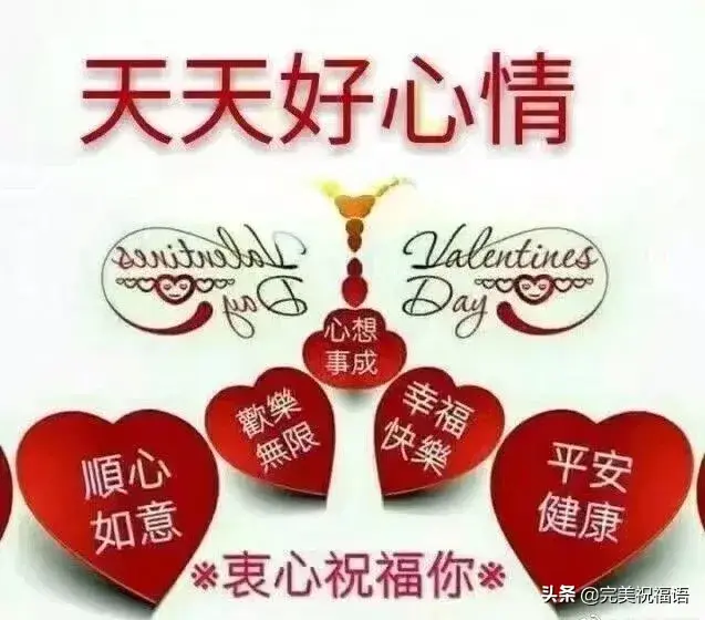 人生就像蒲公英，人生就像蒲公英看似自由却身不由己经典美文（人生就像蒲公英 看似自由 却身不由己）