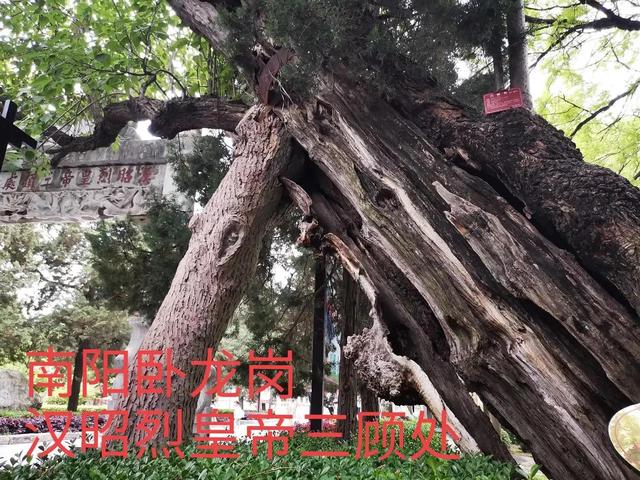 西蜀是哪里，为什么叫西蜀（西蜀子云亭\