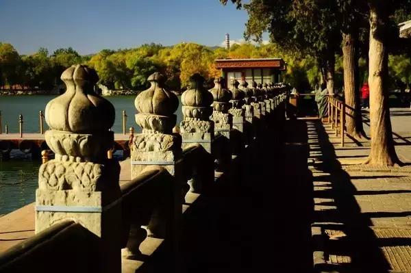 中国四大名园分别是什么，中国四大名园是哪些（中国的四大名园，想象不到的美）