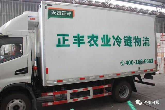 豆妃是什么，豆妃是什么样子（贺州豆杯在香港一斤能卖80元港币）