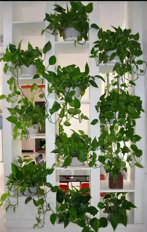 雨水是酸性还是碱性，正常雨水是酸性还是碱性（下雨多淋“雨水”）