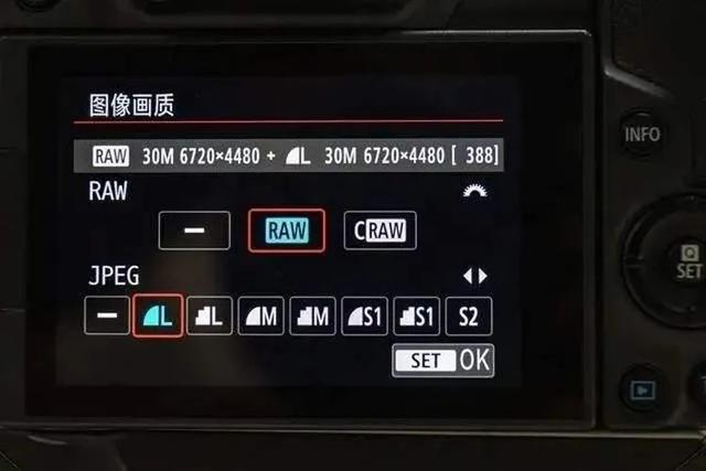 jpg格式图片，什么是jpg格式照片（相机保存照片你选RAW还是JPG）
