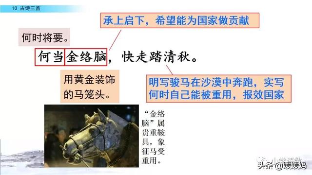 立根原在破岩中，立根原在破岩中里的破岩还是什么（六年级下册语文第10课《古诗三首》图文详解及同步练习）