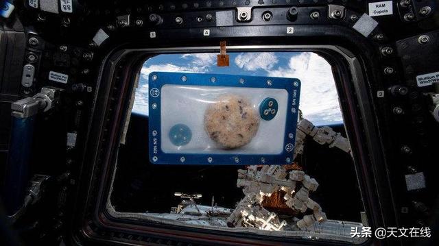 2.2磅是多少斤，磅和斤怎么换算（肉类首次在距离地球数百英里之外的太空中被培育）