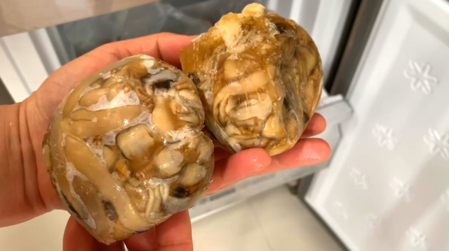 蛏子怎样去除内脏图解，蛏子怎么清除内脏（退潮时多抓一些放冰箱）