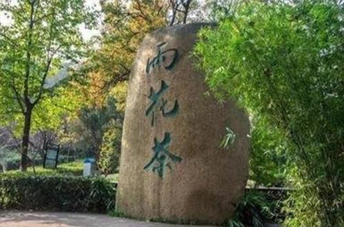 南京雨花茶的功效，南京雨花茶的功效有哪些（“中国十大名茶”之南京雨花茶的起源和品质特点）