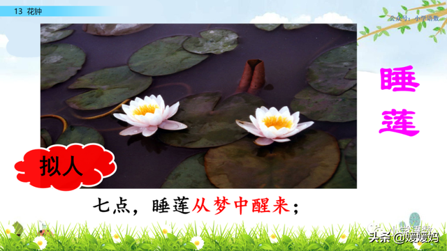 芬芳迷人的意思，芬芳迷人是什么意思解释一下（三年级下册语文第13课《花钟》图文详解及同步练习）