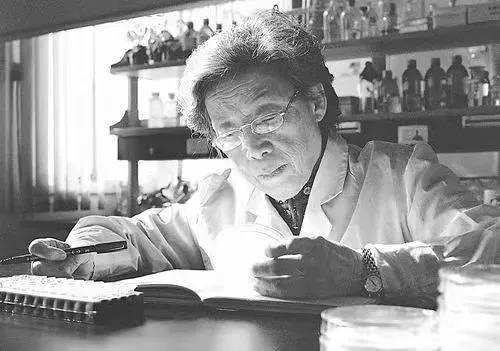 武汉科技大学校徽（校徽上的）