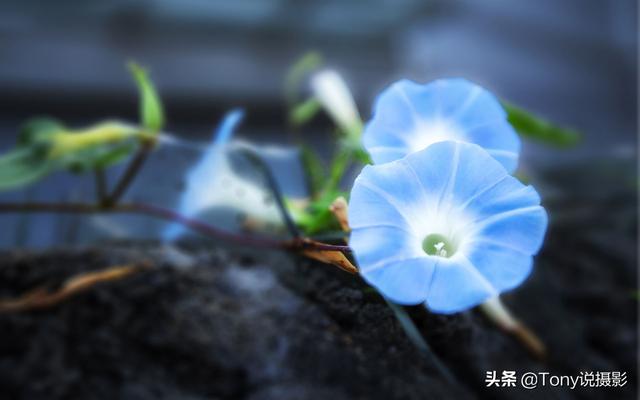 六种相机拍摄模式的作用和功能，摄影：一文搞懂相机的拍摄模式