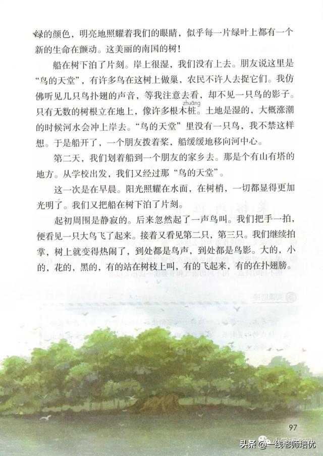 抛组词有哪些呢，抛组词组词语（统编版五年级上册第23课《鸟的天堂》重点知识点）