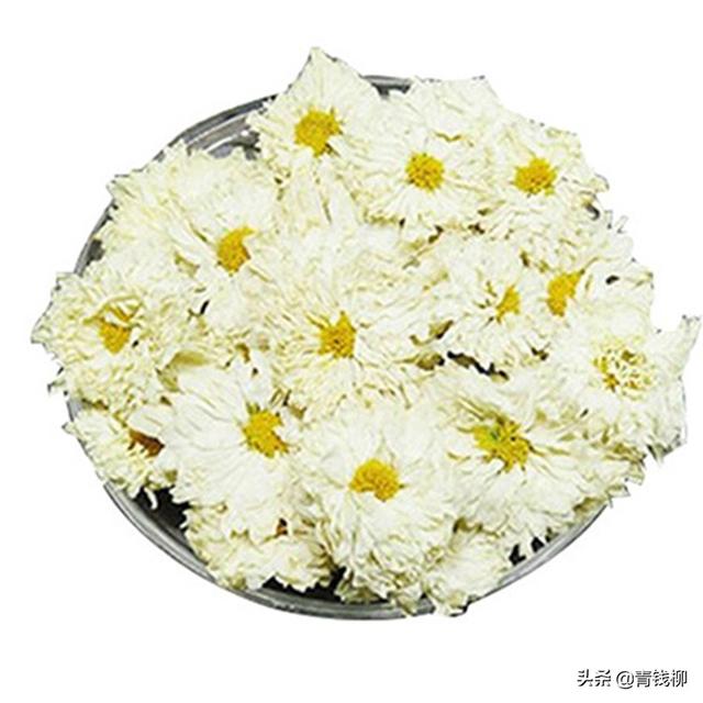 杭白菊，道地药材杭白菊和温郁金的生产技术（杭白菊,胎菊,贡菊的功效区别）