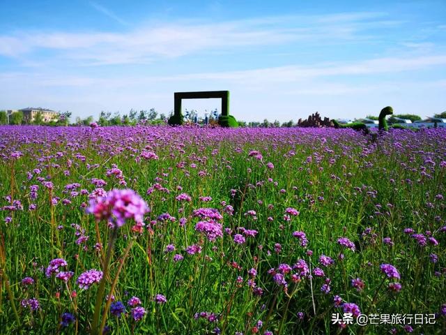 内蒙省会是什么城市，内蒙古省会城市是（很多人不知它的省会是哪个城市）