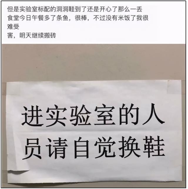 crocs是什么牌子，crocs是什么牌子女包（史上最丑鞋王，为何突然爆火）
