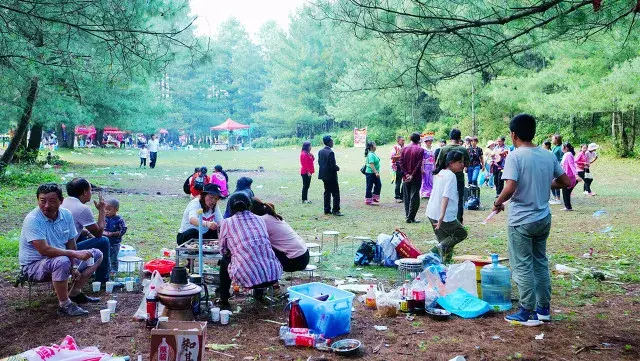 picnic是什么意思，picnic意思（最野的野餐，只在朋友圈里）