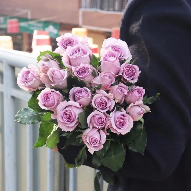 过期的雪碧能浇花吗，过期的雪碧可以用来浇花吗（原来花也喜欢喝“饮料”）