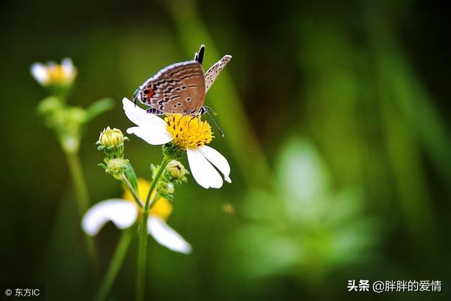 熙熙攘攘人群中平平淡淡过一生，平平淡淡