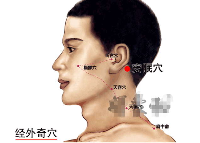 鱼腰的准确位置和作用，个个都是穴位学中的高手