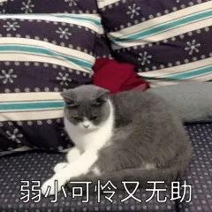 降头是什么意思，降头什么意思（直播向亡人泼脏水）