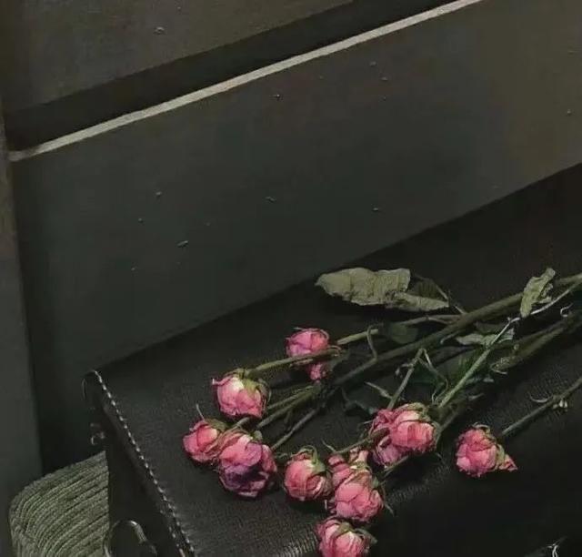 高级背景图，高级背景图片ins黑色（复古高级感背景图）