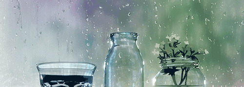 神采奕奕奕奕的意思，神采奕奕的意思是什么（小学1-6年级成语大全）