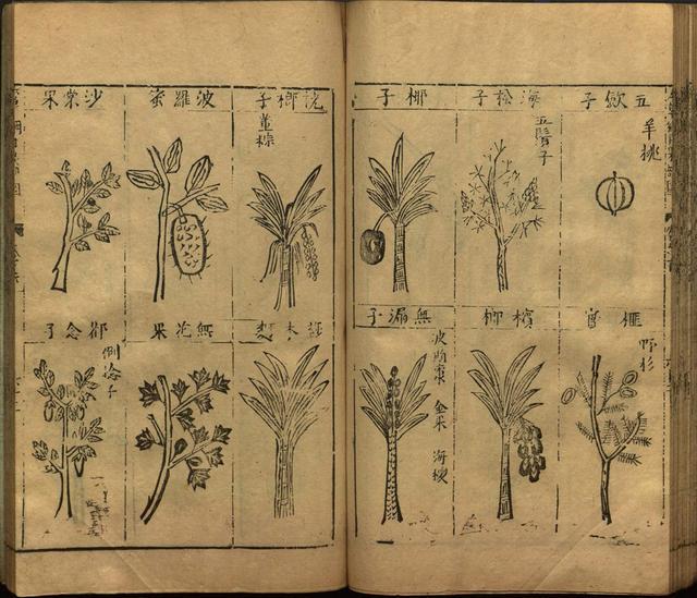 本草纲目全书带图，李时珍本草纲目全书（李时珍著《本草纲目》附图卷）
