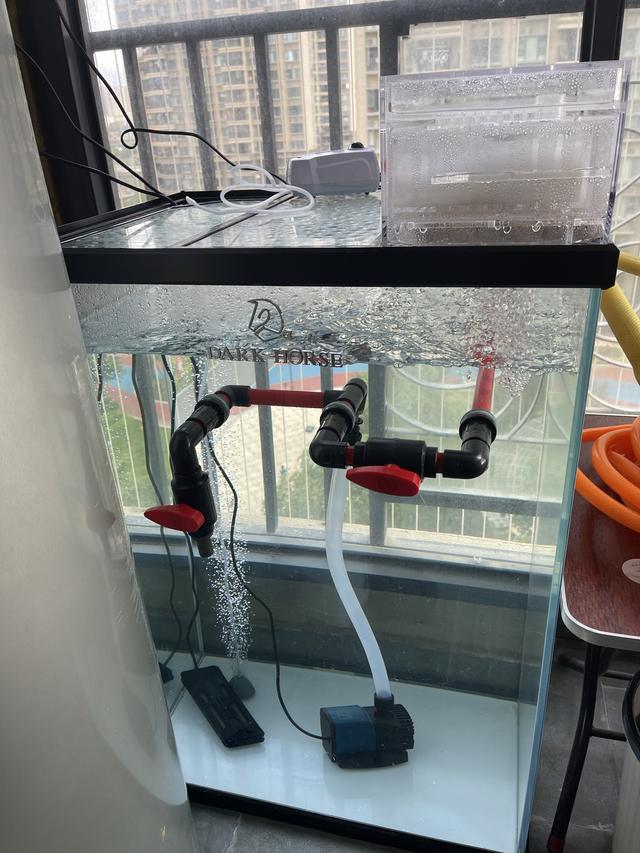 自来水养鱼怎么处理水，养鱼的水有什么要求（自来水困几天可以给鱼换水）