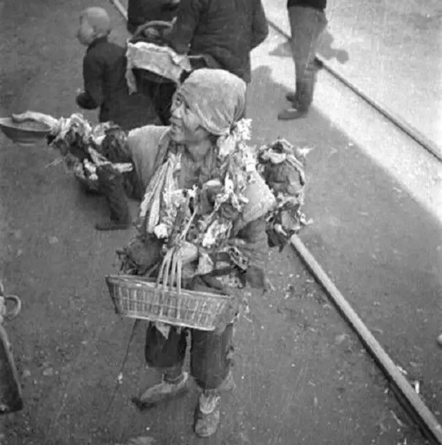 河南蝗灾发生在哪一年，河南蝗灾死了多少人（大饥荒中的汤恩伯到底有多狠）