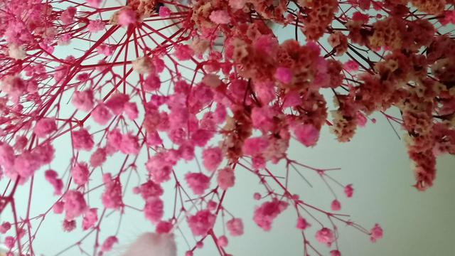 怎么进入深度睡眠，教你如何进入深度睡眠（睡眠的秘密——不再失眠和快速进入深度睡眠的方法）