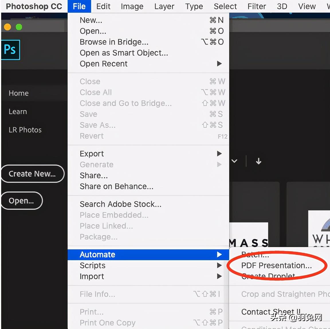 pdf矢量图是什么意思（pdf图片是矢量图吗）