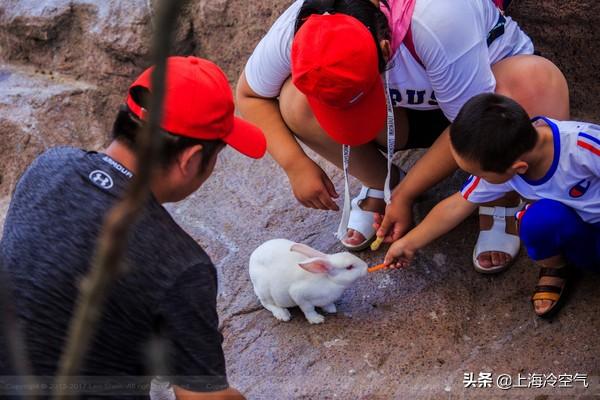 神雕山野生动物园，神雕山野生动物园攻略（竟然是一个动物比游客还多的景点）
