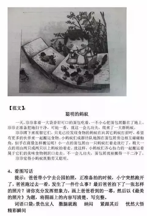 看图写话怎么写，小学生怎么写好看图写话（看图写话不用愁<含范文>）