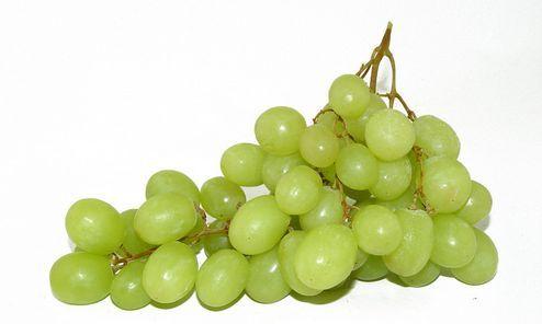 无籽红提的功效与作用，无籽红提的功效（提子里的这种物质能延缓衰老）