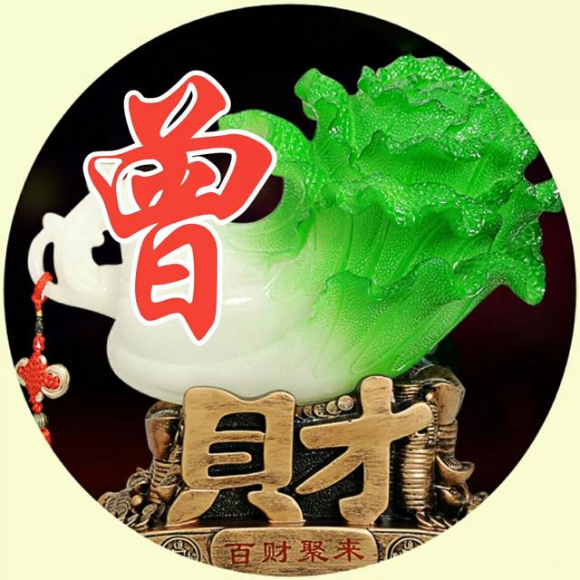 张琪笙，微信头像，张琪笙（60张姓氏头像）