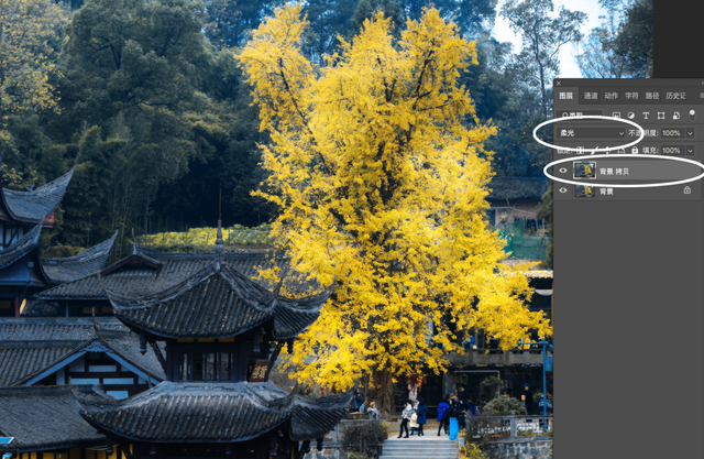 ps滤镜camera raw在哪，ps滤镜camera（如何拯救“灰姑娘”照片）