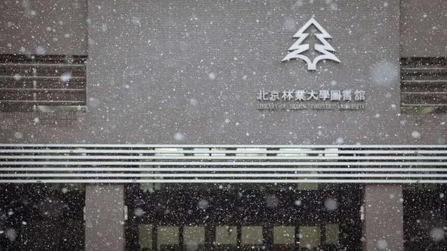 北京林业大学图书馆，北京林业大学怎么样（来北京旅游不可错过的5处经典标志性“景点”）