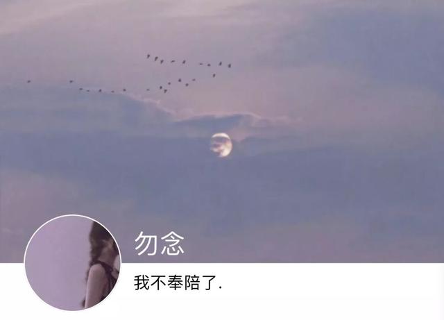 动漫帅哥美女图片，帅哥美女杂图（图王鲨鱼哥第33期33套微信头像加背景图）