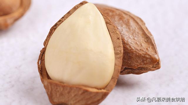 坚果有哪些，坚果有哪些食物（25种坚果大全你都认识吗）
